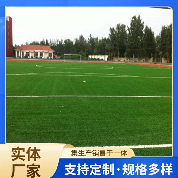 岳阳市塑胶地坪人造草坪 - 哪里好